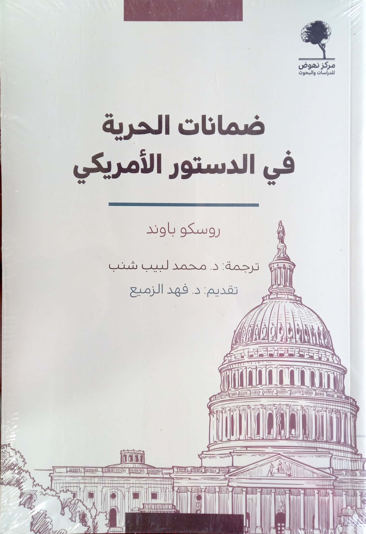 ضمانات الحرية في الدستور الأمريكي